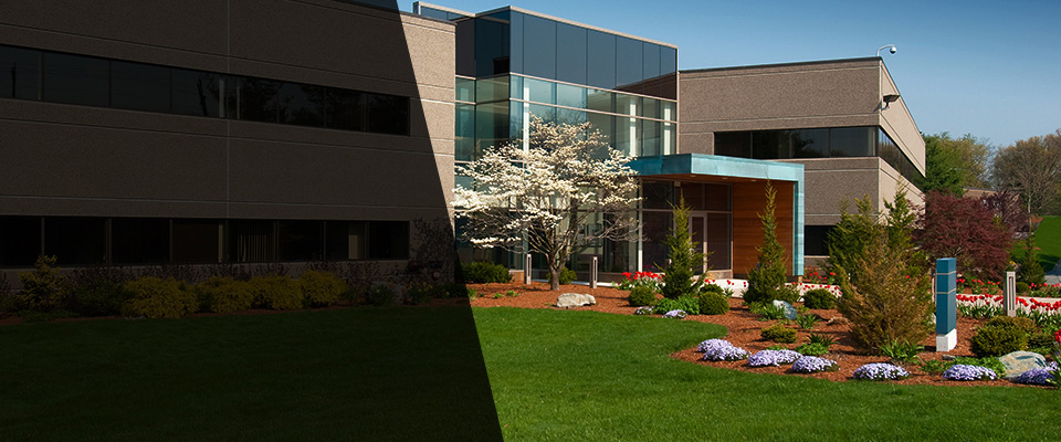 Castle Hayne Landscapers