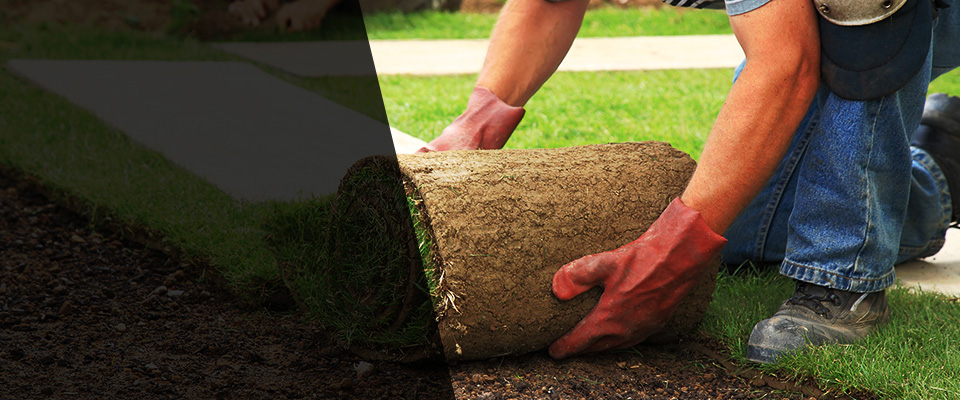 Castle Hayne Landscapers